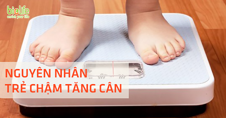 BIOLIFE. NGUYEN NHAN TRE CHAM TANG CAN