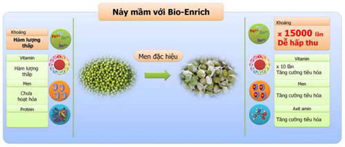 Nảy mầm với Bioenrich