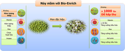 biolife.Tech