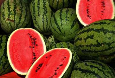 Các phương pháp tăng chiều cao cho bé biolife.duahau