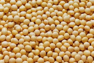 biolife_20